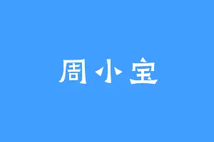 周小宝