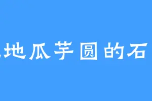 爱吃地瓜芋圆的石雅薇