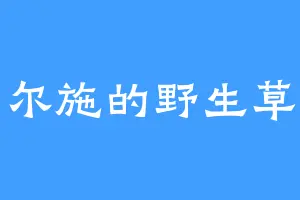 伊尔施的野生草莓