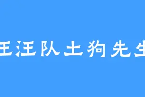汪汪队土狗先生