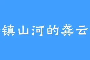 拳镇山河的龚云天