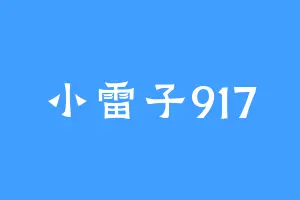 小雷子917