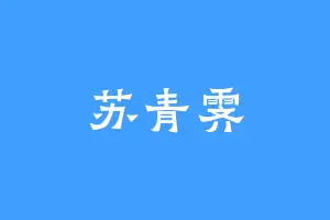 苏青霁