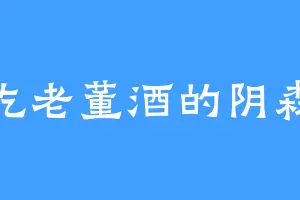 爱吃老董酒的阴森森