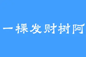一棵发财树阿