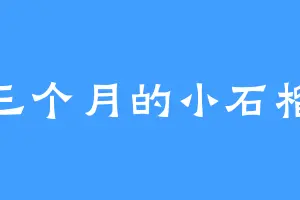 三个月的小石榴