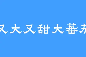 又大又甜大蕃茄