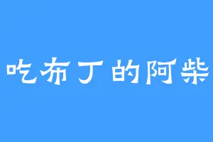 吃布丁的阿柴