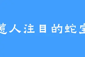 惹人注目的蛇宝