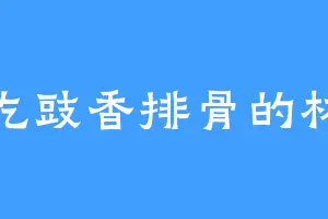 爱吃豉香排骨的林风