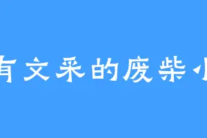 没有文采的废柴小北