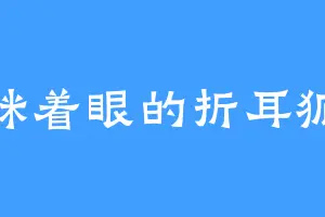 眯着眼的折耳狐