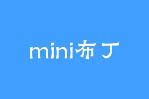 mini布丁