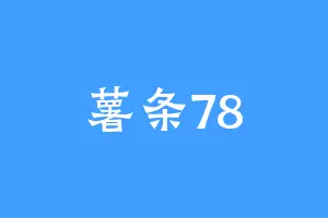 薯条78