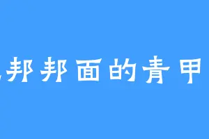 爱吃邦邦面的青甲龙王