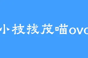 小枝拔茂喵ovo