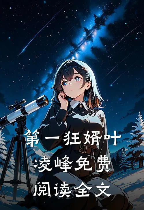 第一狂婿叶凌峰免费阅读全文