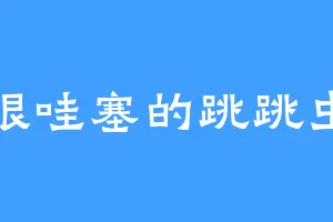 很哇塞的跳跳虫