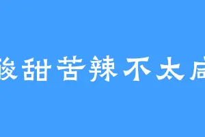 酸甜苦辣不太咸