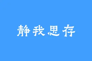 静我思存