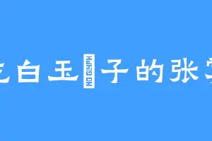 爱吃白玉団子的张掌柜