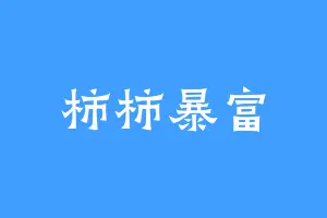 柿柿暴富