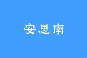 安思南
