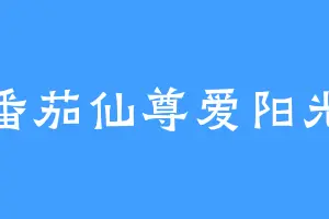 番茄仙尊爱阳光