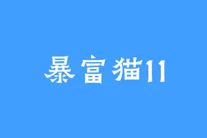 暴富猫11