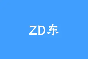 ZD东