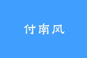 付南风