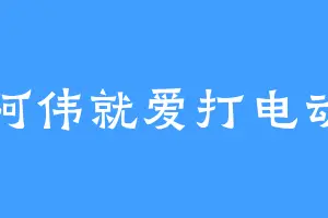 阿伟就爱打电动