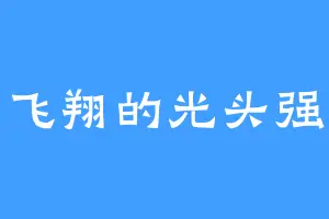 飞翔的光头强