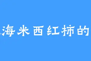 爱吃海米西红柿的苏夜