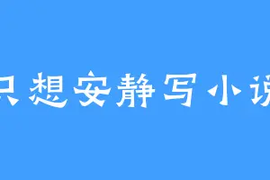 只想安静写小说
