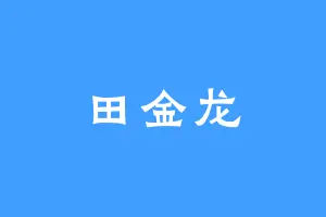 田金龙