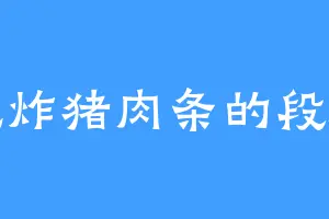 爱吃炸猪肉条的段海良
