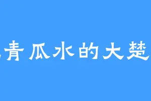爱吃青瓜水的大楚九皇