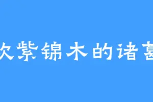 喜欢紫锦木的诸葛世