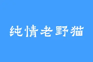 纯情老野猫