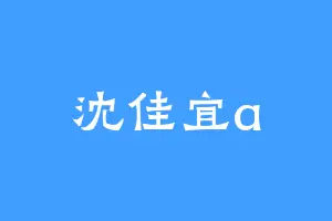 沈佳宜a