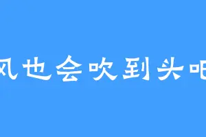 风也会吹到头吧