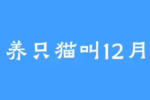 养只猫叫12月