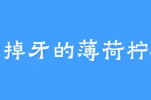 酸掉牙的薄荷柠檬