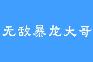 无敌暴龙大哥