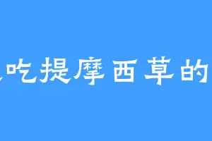 喜欢吃提摩西草的兔子