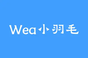Wea小羽毛