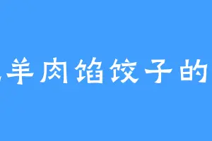 爱吃羊肉馅饺子的宋兄