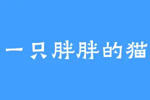 一只胖胖的猫