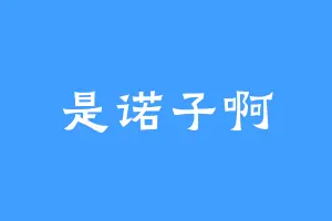 是诺子啊
